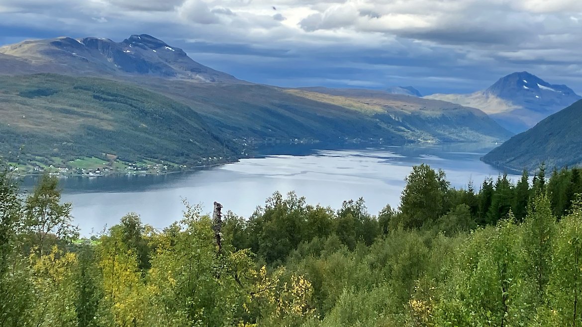 Blank fjord @Evy Hansen
